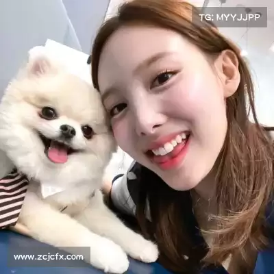 谢鼎懿